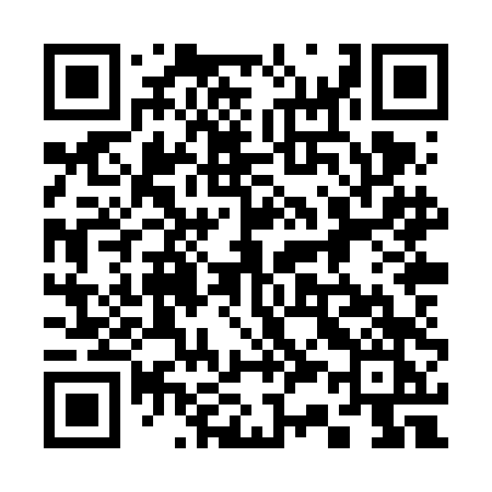 QR code for 338VDK