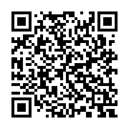 QR code for 339AMX