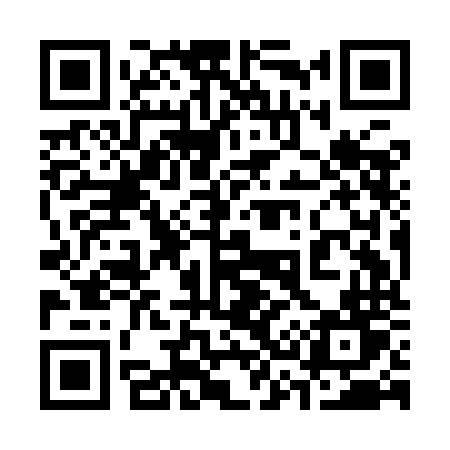 QR code for 339INT