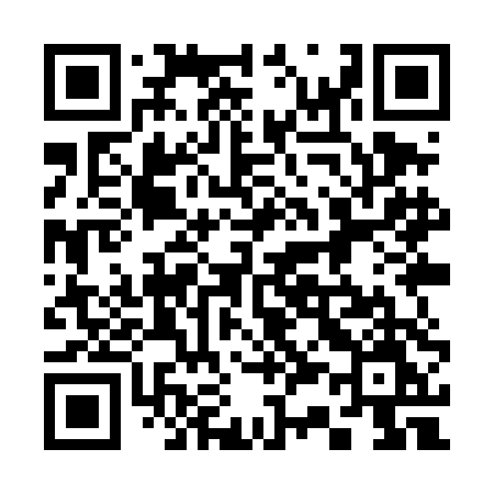 QR code for 339TDM