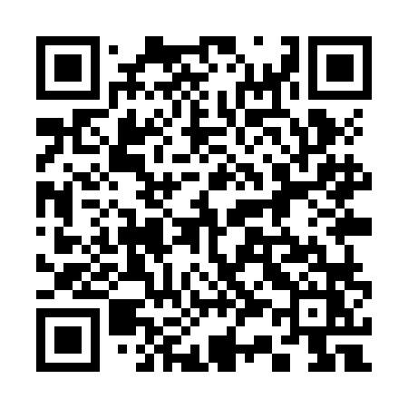 QR code for 339ZLZ