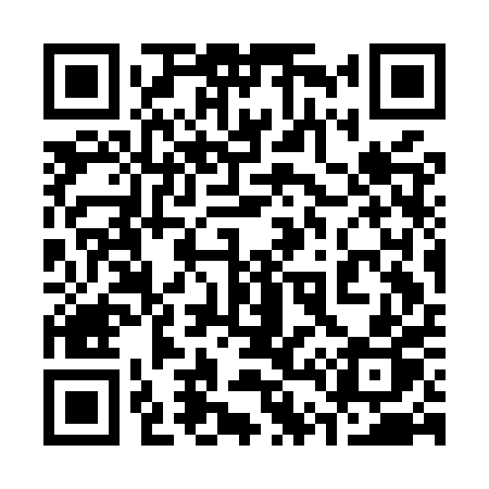 QR code for 343MPP
