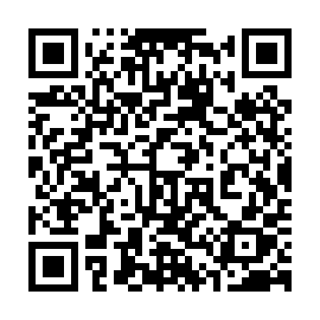 QR code for 343PPX