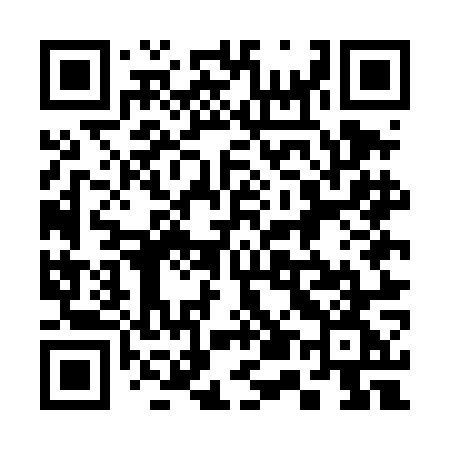 QR code for 355DOG