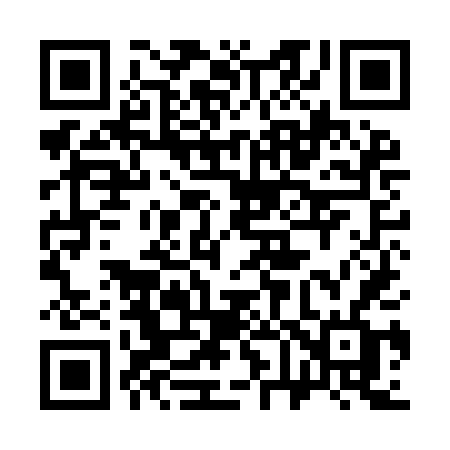 QR code for 369IDF