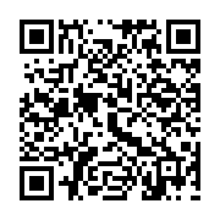 QR code for 369ZAP