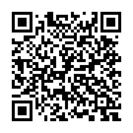 QR code for 370DZF