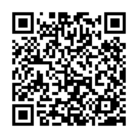 QR code for 376PBM