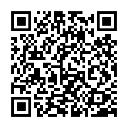 QR code for 377DSY