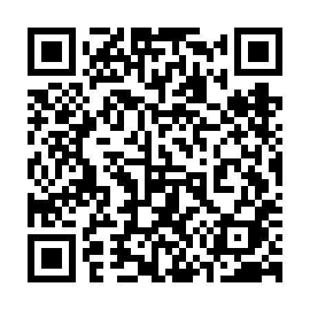 QR code for 377FHI