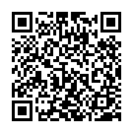 QR code for 377POS