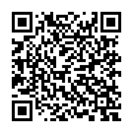 QR code for 379MLN