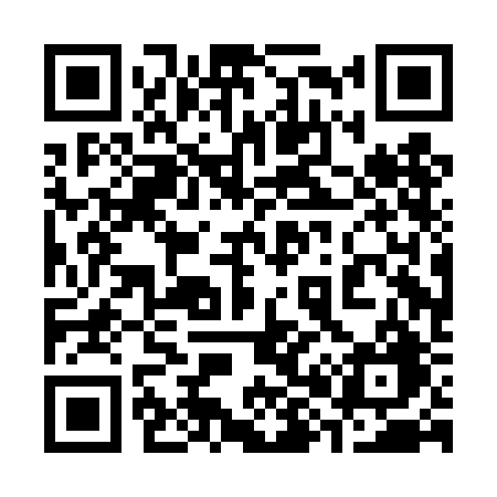 QR code for 380DBG