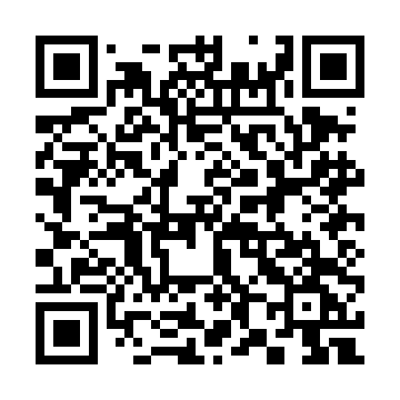 QR code for 380DDG