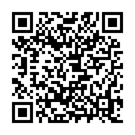 QR code for 380IPN