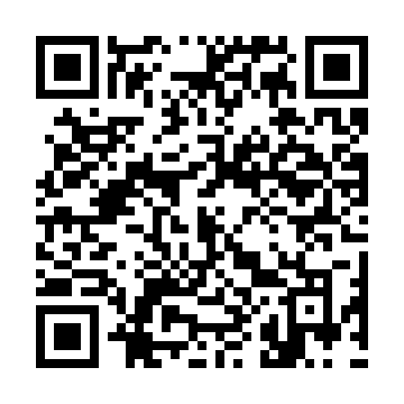 QR code for 380SRO