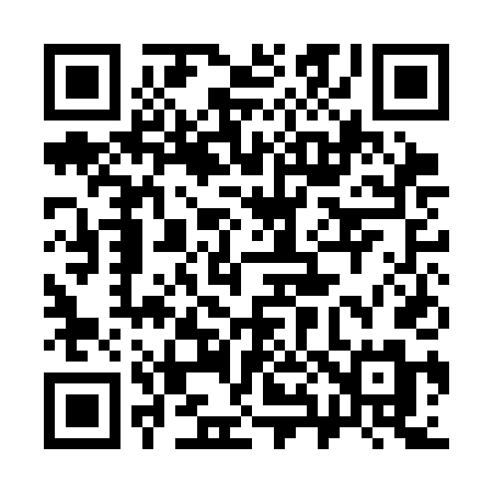 QR code for 381CDM