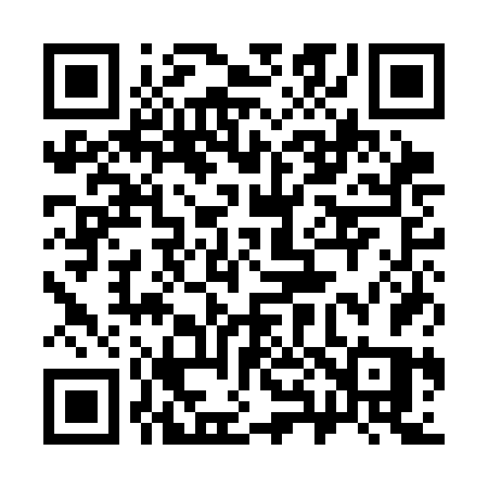 QR code for 381CFS