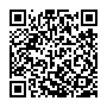 QR code for 381FYY