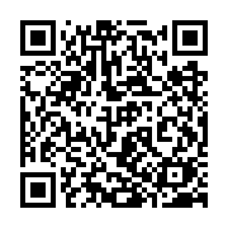 QR code for 381GSM