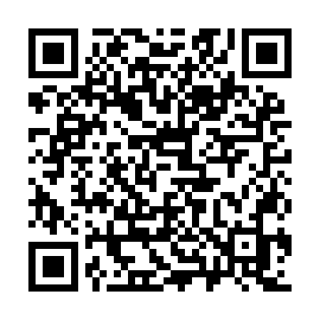 QR code for 381INJ
