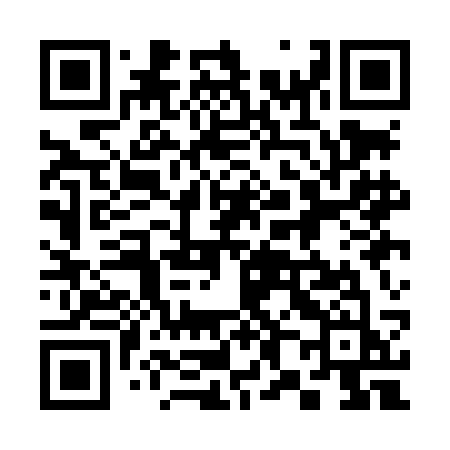 QR code for 381LCJ