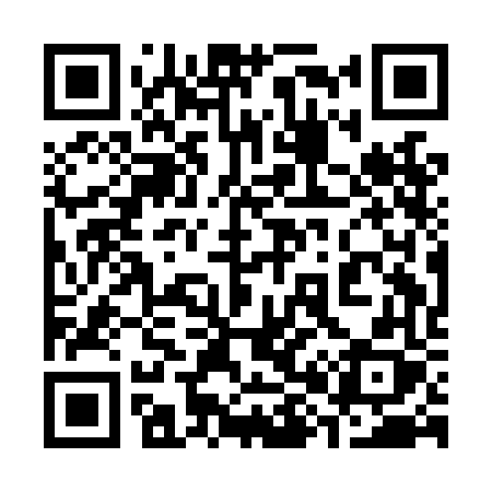 QR code for 381LFX