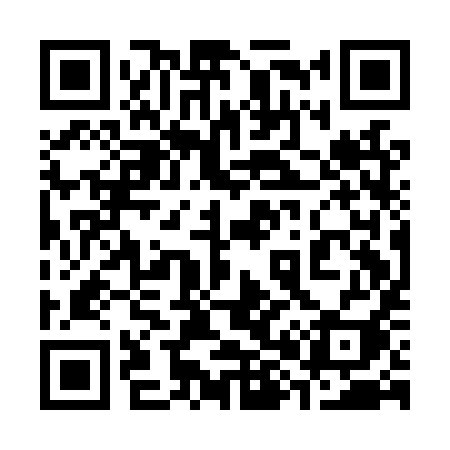 QR code for 381LYI