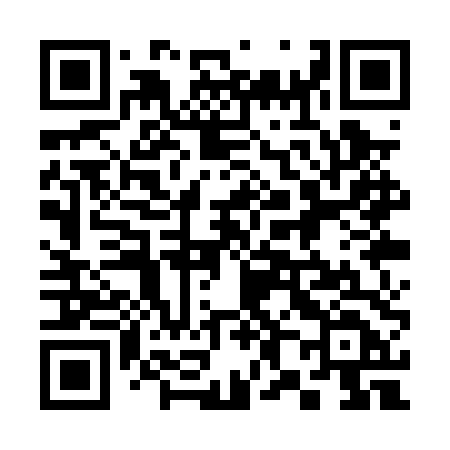 QR code for 381PTD