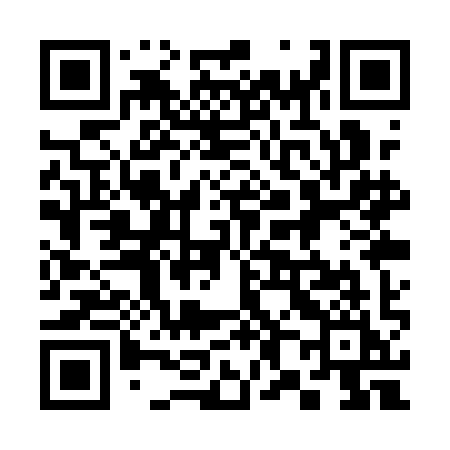 QR code for 381QII