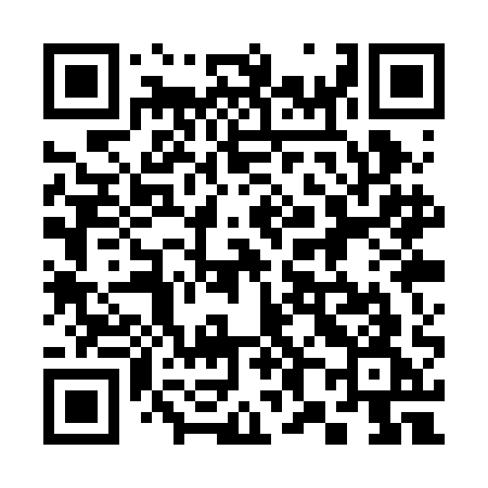 QR code for 381RAG