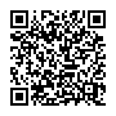 QR code for 381SAT