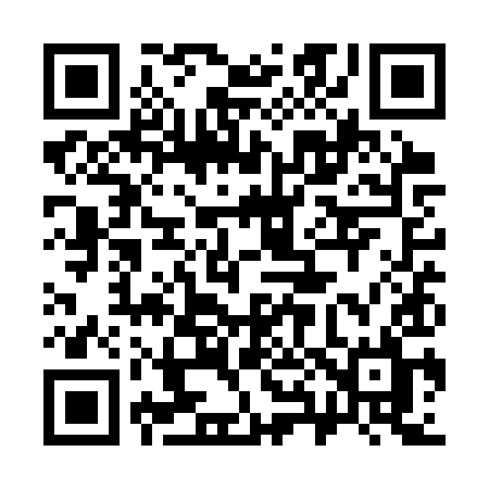 QR code for 381SYL