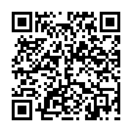 QR code for 381VMG