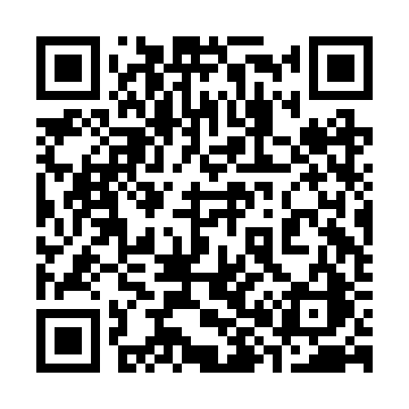QR code for 382BRC