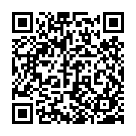 QR code for 382DQL