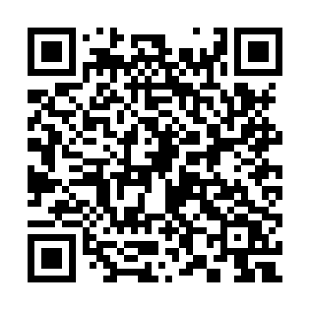 QR code for 382HPV