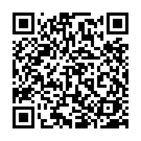 QR code for 382OGK