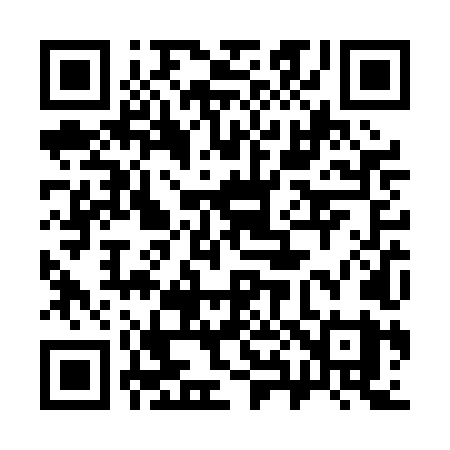 QR code for 382PLY