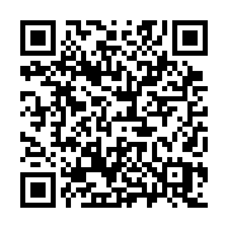 QR code for 382SDU