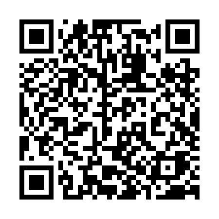 QR code for 382SKA