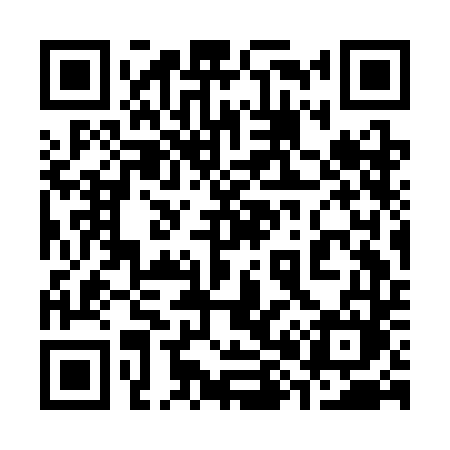 QR code for 383CDM