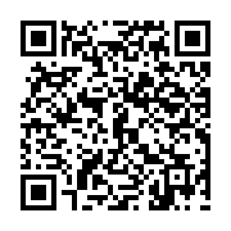 QR code for 383CFS