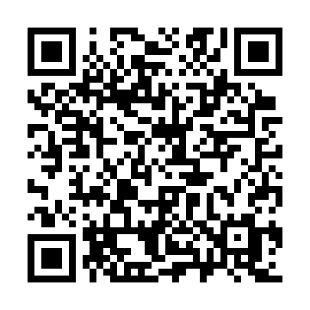 QR code for 383CSM