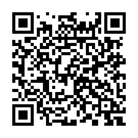QR code for 383MIB