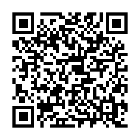 QR code for 383MNL