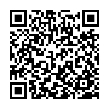 QR code for 383NZW