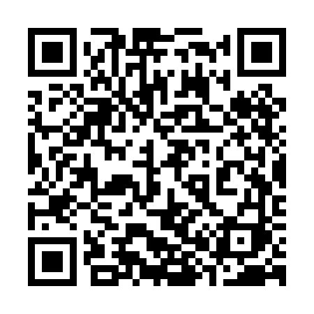 QR code for 383PFI