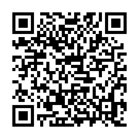 QR code for 383PRN