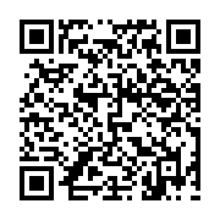QR code for 383SJJ